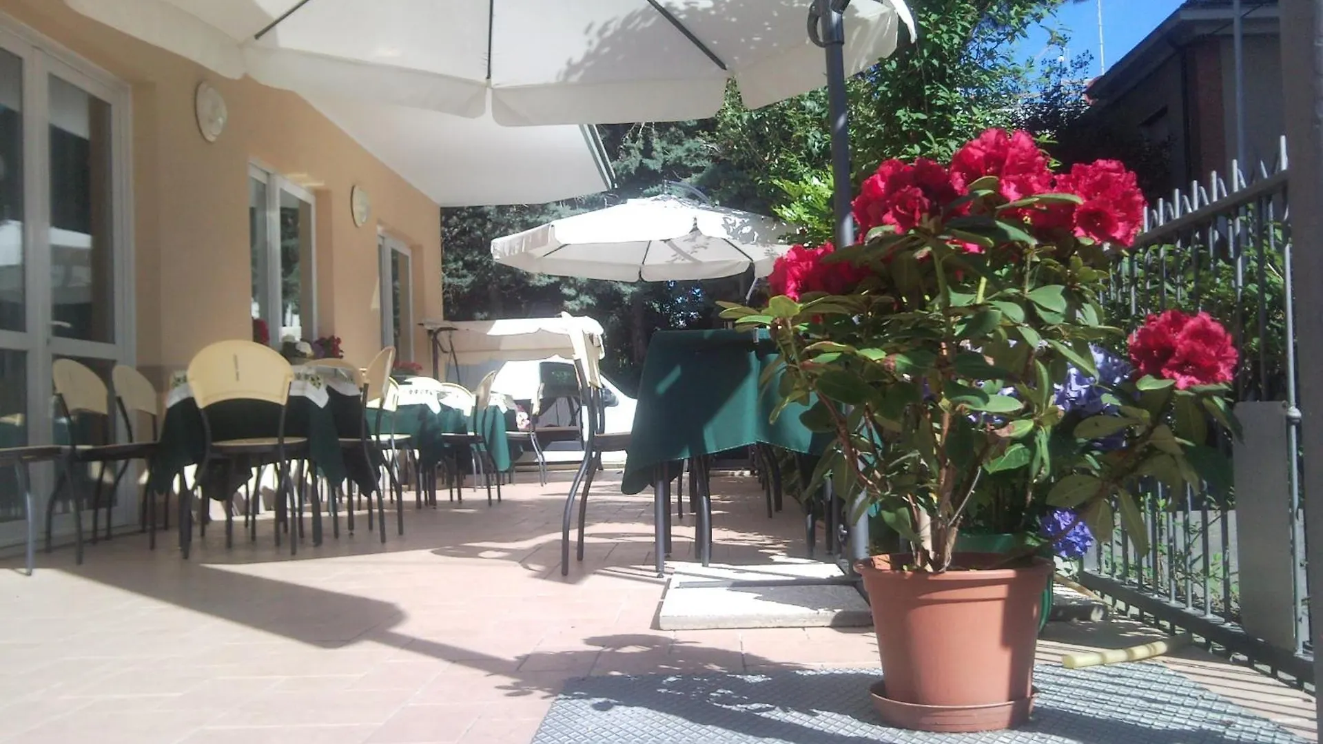 Hotel Trinidad Rimini