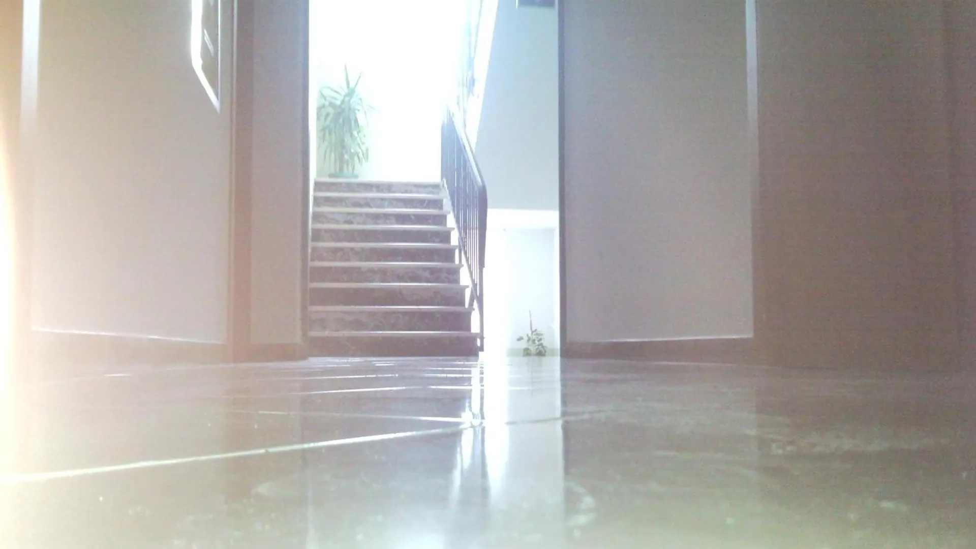 Hotel Trinidad Rimini